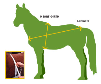 Heart Girth / Length