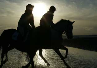 Pair silhouette on beach