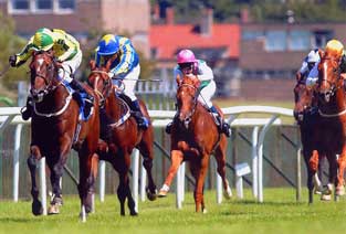 Racing - Racing Baileys group No.10
